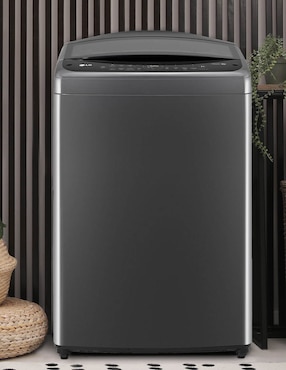 Lavadora Lg automática carga superior wt19mv6