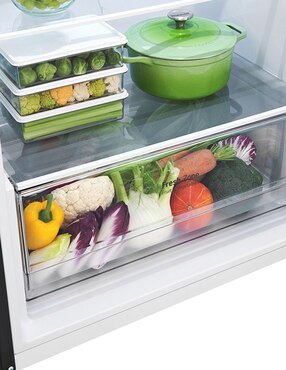 Refrigerador LG 14 pies cúbicos inverter y no frost VT40BJB