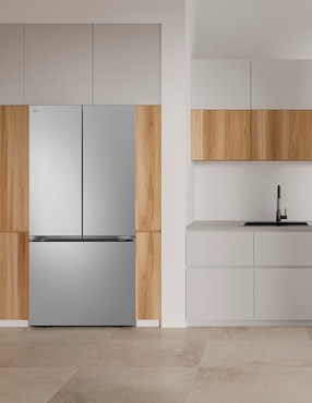 Refrigerador LG GM65BPP