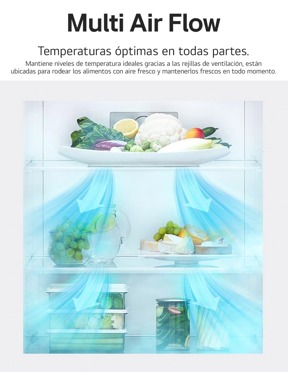 Refrigerador multi air flow / air system VT40WP 11